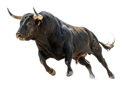 Imagen PNG para descargar